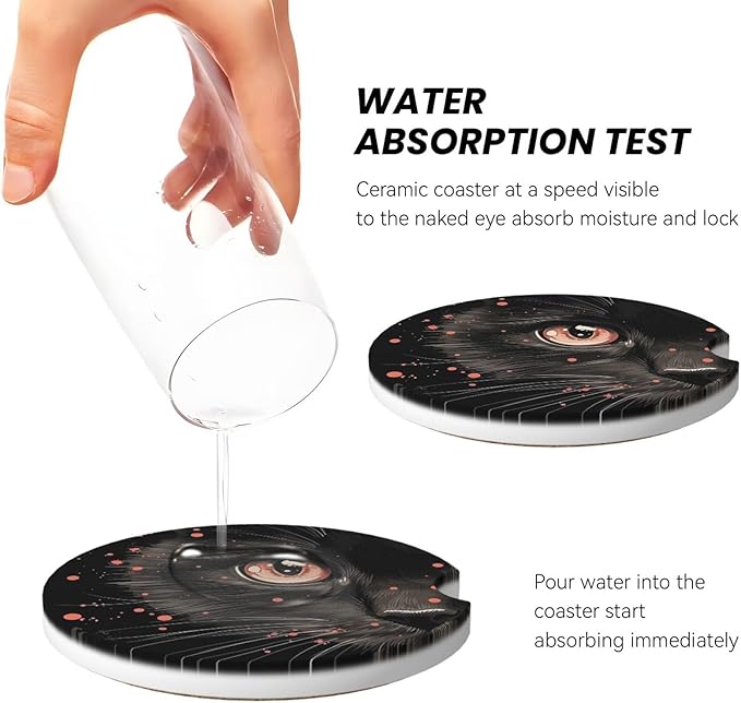 Absorbent Ceramic Car Coasters for Cup Holders, Black Cat Design 2.56" Anti Slip Universal Drink Cup Coasters for Women Men (2 Pack)