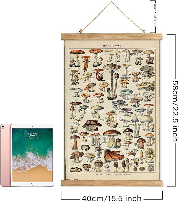 XIAOAIKA Vintage Mushroom Poster with Wooden Scroll Frame - Classic Botanical Print with Variety of Fungi Species - Retro Style Wall Art Decor for Kitchen, Living Room, Classroom 16 x 23 Inches