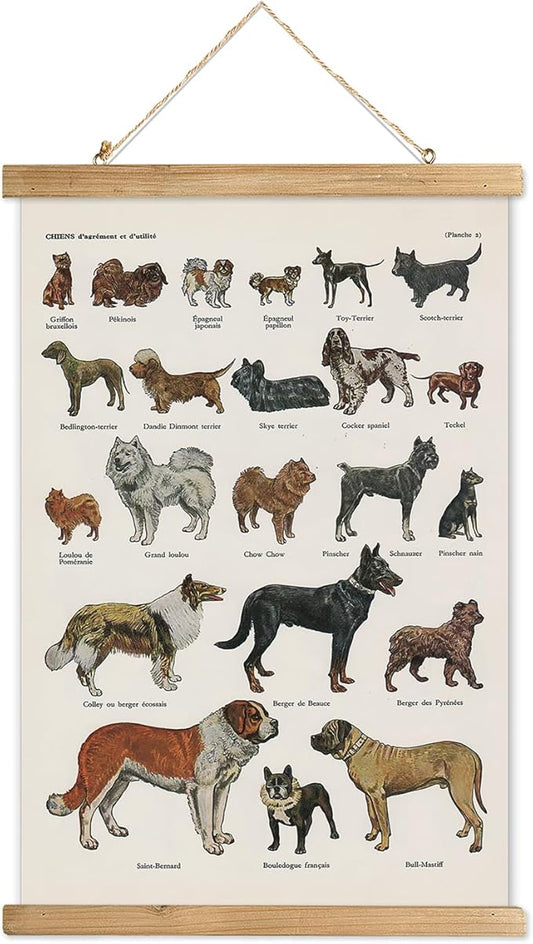 XIAOAIKA Classic Dog Breeds Illustrated Poster - Vintage Canine Varieties Wall Art with Wooden Hanger - Educational and Decorative Print for Pet Lovers and Breeders 16 x 23 Inches