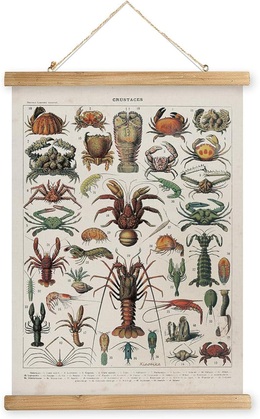 XIAOAIKA Antique Crustacean Species Poster - Vintage Detailed Seafood Illustration Chart with Wooden Frame - Educational Wall Art for Seafood Enthusiasts, Chefs, and Classrooms 12 x 16 Inches