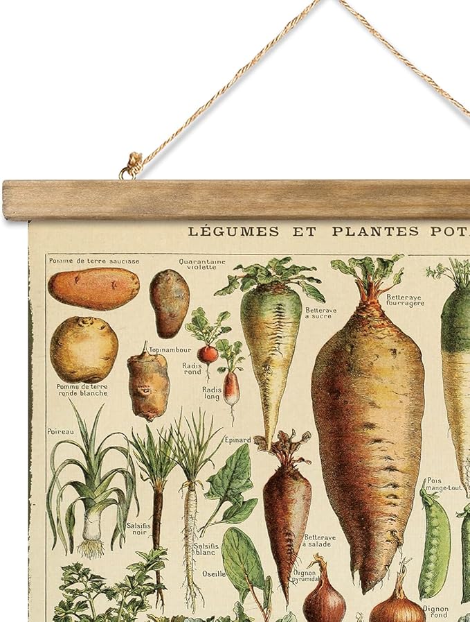 XIAOAIKA 2 Pack Vegetables and Mushrooms Vintage Posters with Wooden Frame - Cottagecore Room Decor, Classic Wall Art for Home and Classroom 16 x 23 inches