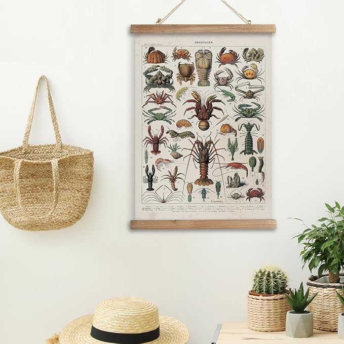 XIAOAIKA Antique Crustacean Species Poster - Vintage Detailed Seafood Illustration Chart with Wooden Frame - Educational Wall Art for Seafood Enthusiasts, Chefs, and Classrooms 16 x 23 Inches