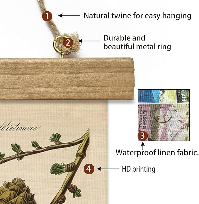 XIAOAIKA Conifer Botanical Wall Art Set - 3-Piece Vintage Pine and Evergreen Poster Prints with Wooden Hanging Frames, Ideal for Rustic Home and Cabin Decor, 12x16 inches