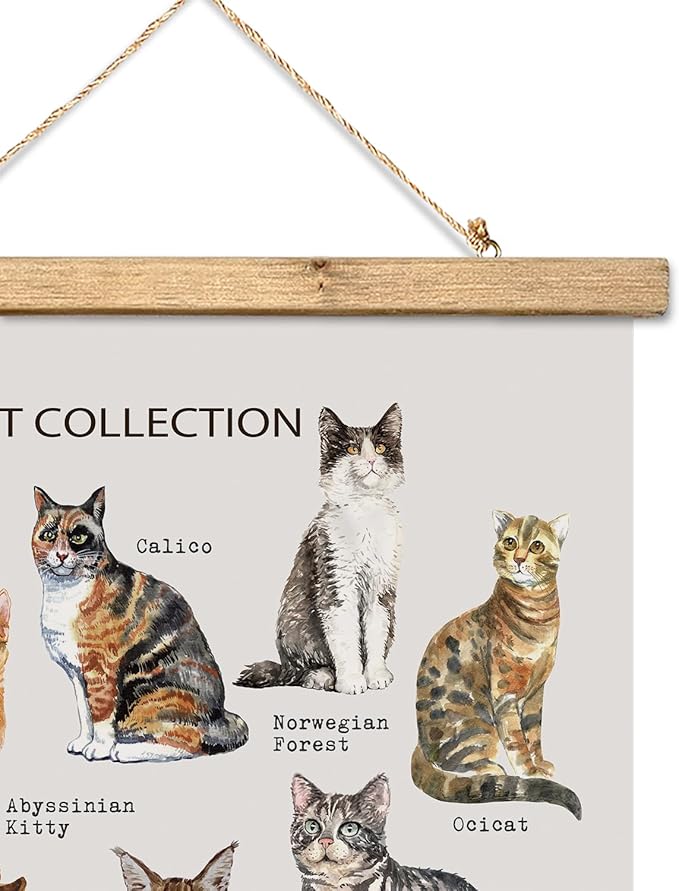 XIAOAIKA Cat Breeds Educational Poster - Illustrated Guide to Popular Feline Varieties with Wooden Scroll Frame - Decorative Wall Art for Cat Lovers and Pet Owners 20 x 30 Inches