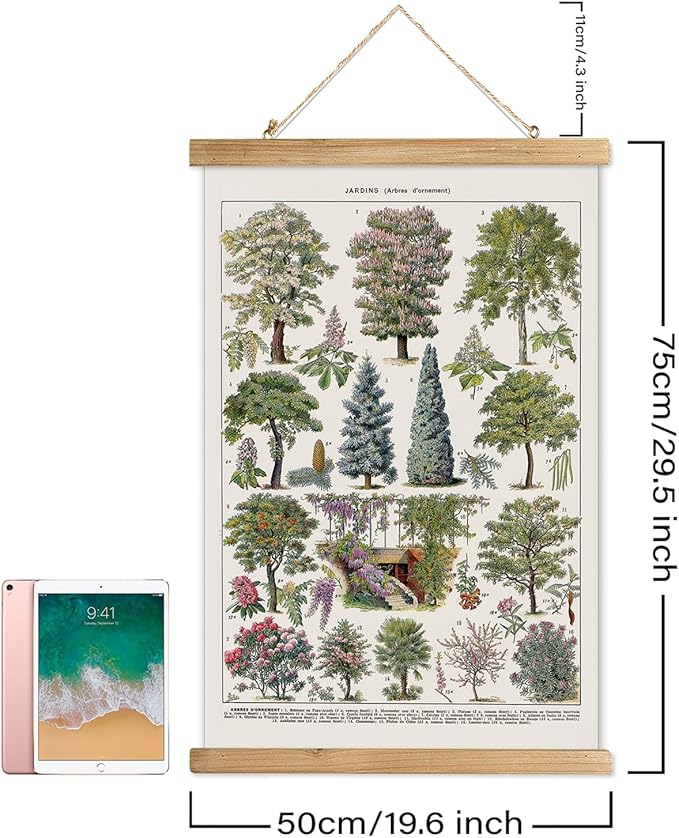 XIAOAIKA Vintage Tree and Shrub Poster - Botanical Educational Retro Wall Art with Wooden Frame for Gardening Enthusiasts and Landscape Designers 20 x 30 Inches