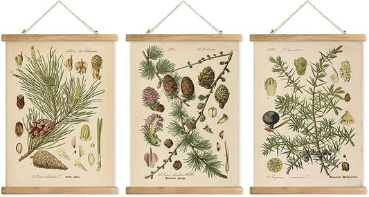 XIAOAIKA Conifer Botanical Wall Art Set - 3-Piece Vintage Pine and Evergreen Poster Prints with Wooden Hanging Frames, Ideal for Rustic Home and Cabin Decor, 12x16 inches