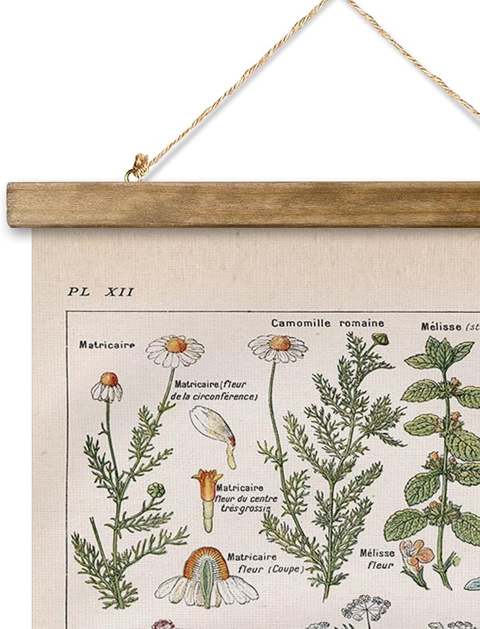 XIAOAIKA Vintage Botanical Herbs Illustration Poster - Retro Medicinal Plant Chart with Wooden Frame - Educational Herbal Reference for Home, Kitchen, or Classroom Decor 20 x 30 Inches