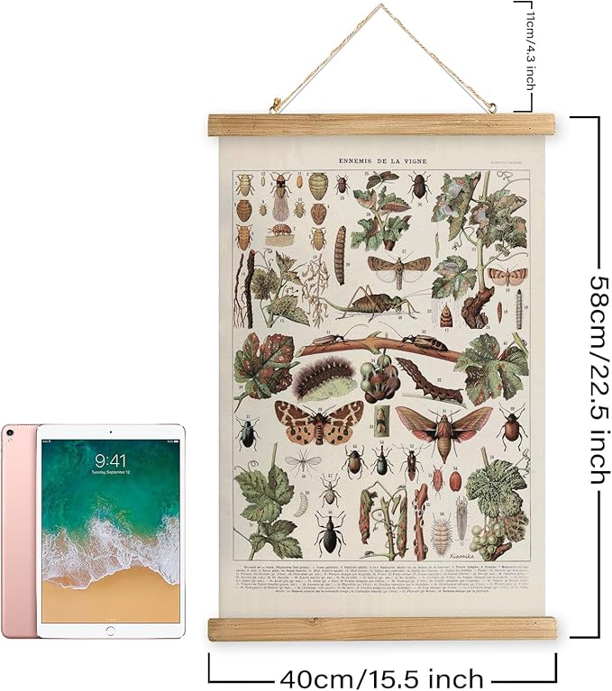 XIAOAIKA Vintage Vineyard Pests Identification Chart - Rustic Wall Hanging Educational Poster with Wooden Scroll Frame - Ideal for Wine Enthusiasts and Gardeners 16 x 23 Inches