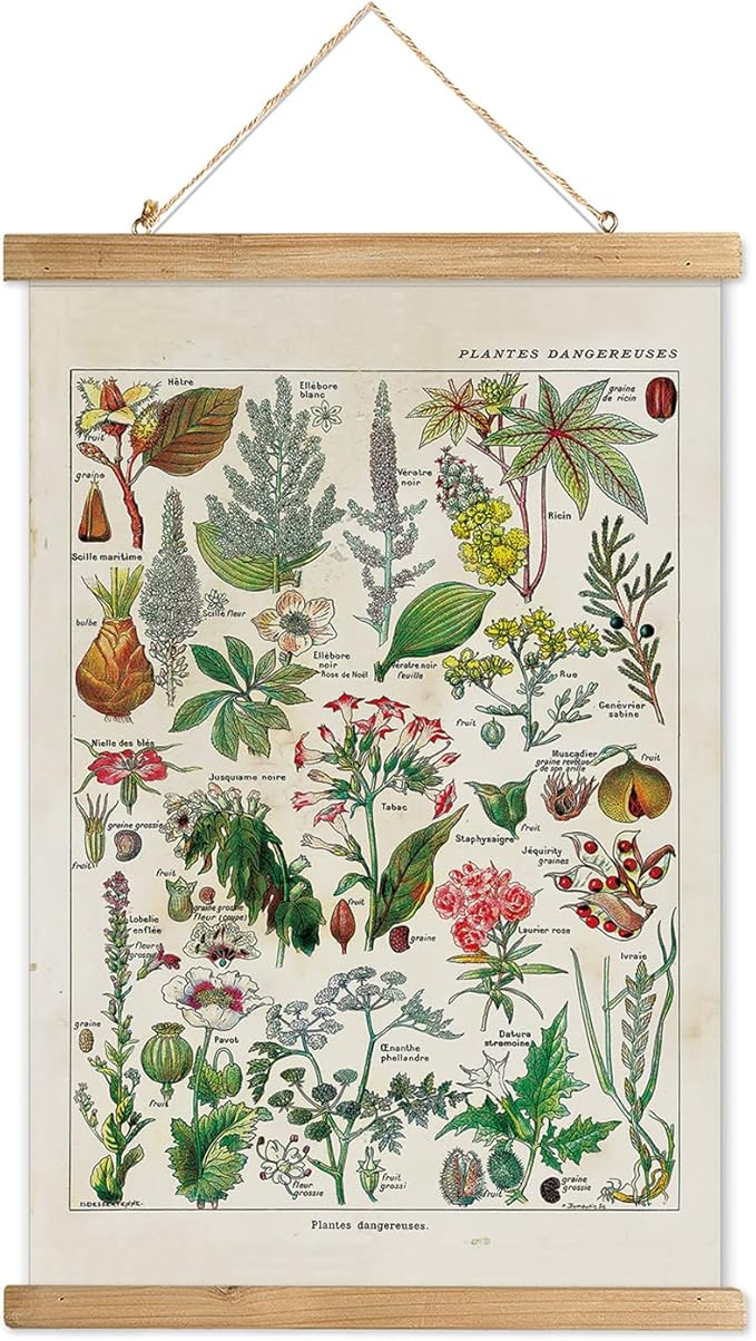 XIAOAIKA Vintage Botany Poster with Wooden Frame, Antique Poisonous Plants Chart - Botanical Educational Art with Dangerous Species - Retro-Style Wall Hanging for Home Classroom Decor 12 x 16 Inches