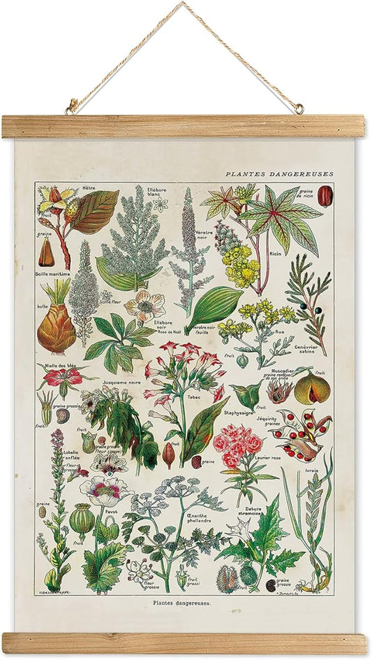XIAOAIKA Vintage Botany Poster with Wooden Frame, Antique Poisonous Plants Chart - Botanical Educational Art with Dangerous Species - Retro-Style Wall Hanging for Home Classroom Decor 12 x 16 Inches