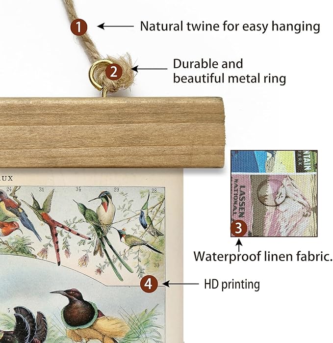 XIAOAIKA 2 Pack Vintage Nature Posters: Bird Species & Eggs - Illustrated Educational Charts with Wooden Frames for Ornithologists, Bird Watchers & Nature Lovers - 16 x 23 Inches