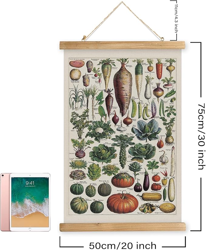 XIAOAIKA Vintage Vegetable Varieties Poster - Illustrated Garden Produce Chart with Wooden Frame - Educational Kitchen Wall Decor Art for Home Chefs and Gardeners 20 x 30 inches