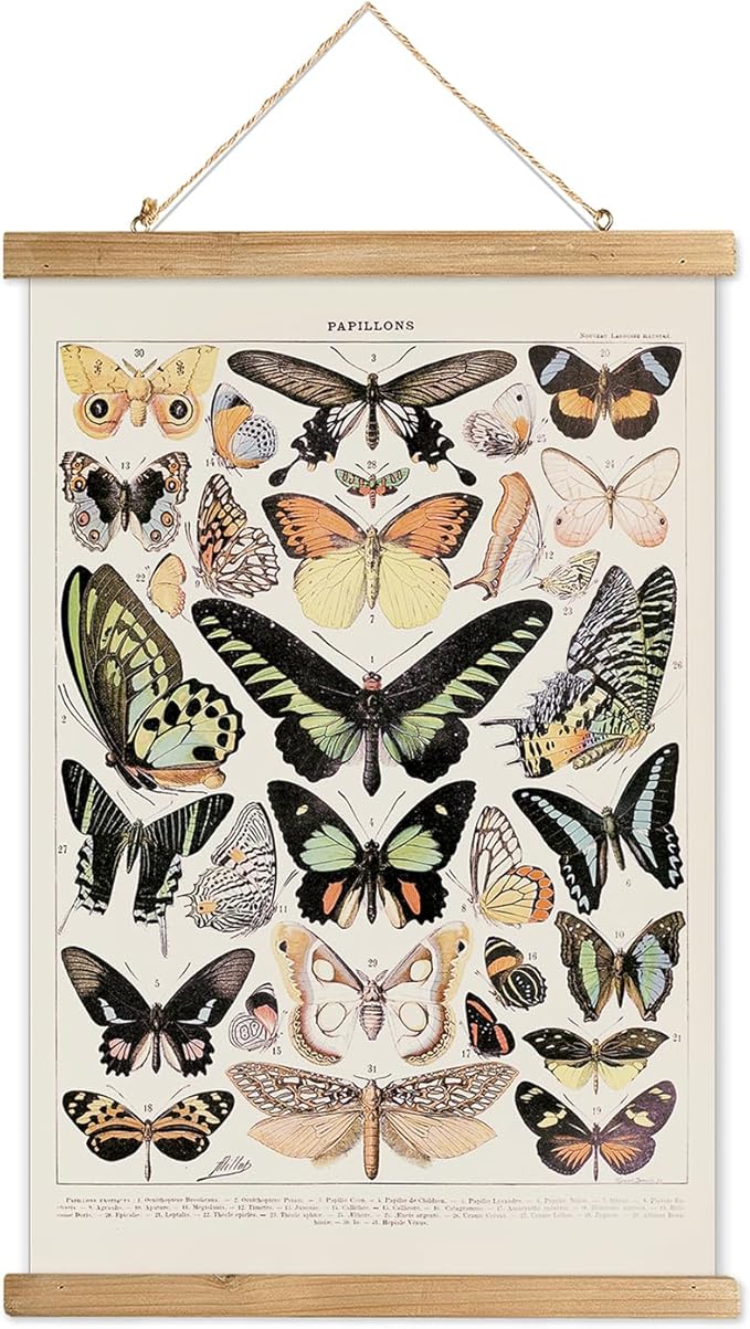 XIAOAIKA Vintage Butterfly Poster Hanger Frame, Cottagecore Room Decor Aesthetic, Retro Style Wall Decor Art Painting, Patterns are Printed on Linen Without Fading (16 x 23 inches)