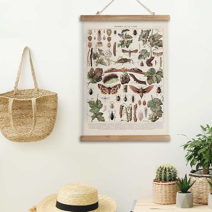 XIAOAIKA Vintage Vineyard Pests Identification Chart - Rustic Wall Hanging Educational Poster with Wooden Scroll Frame - Ideal for Wine Enthusiasts and Gardeners 20 x 30 Inches