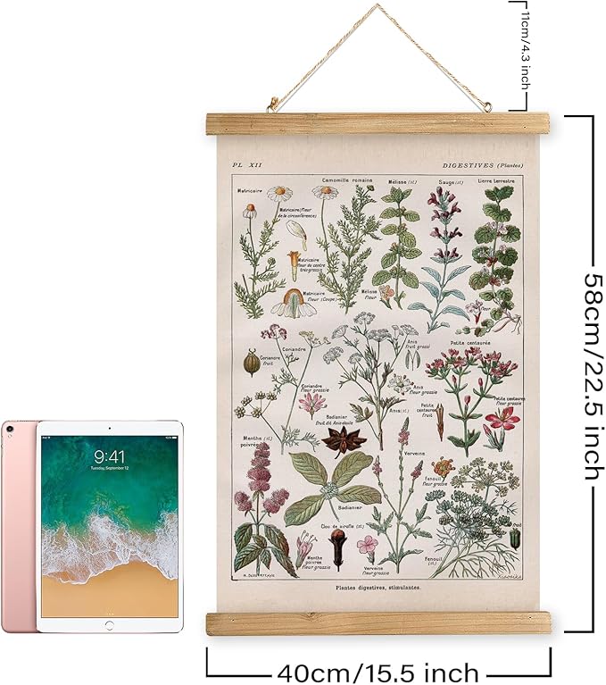 XIAOAIKA Vintage Botanical Herbs Illustration Poster - Retro Medicinal Plant Chart with Wooden Frame - Educational Herbal Reference for Home, Kitchen, or Classroom Decor 16 x 23 Inches
