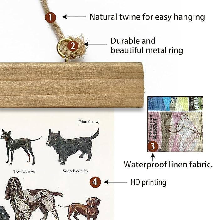 XIAOAIKA Classic Dog Breeds Illustrated Poster - Vintage Canine Varieties Wall Art with Wooden Hanger - Educational and Decorative Print for Pet Lovers and Breeders 16 x 23 Inches