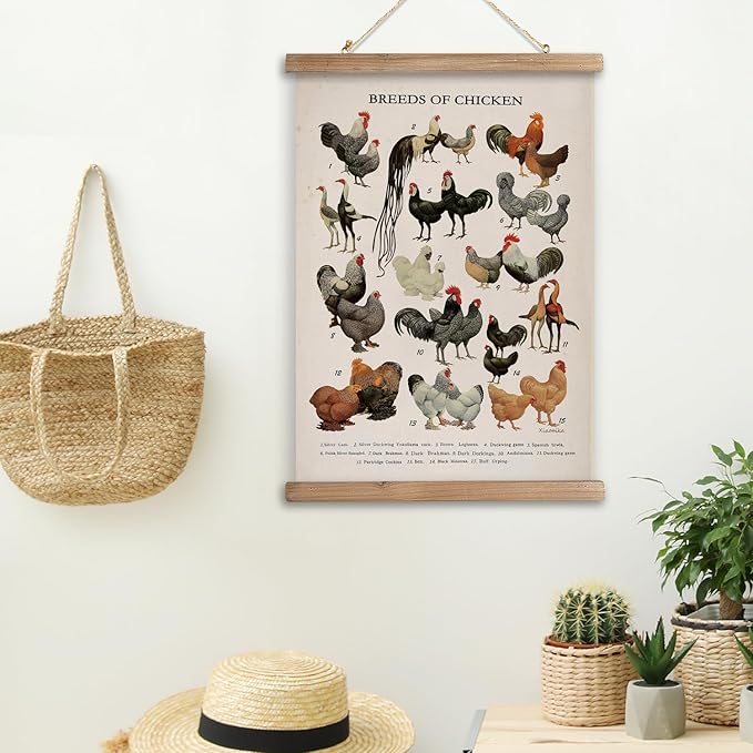 XIAOAIKA Vintage-Inspired Chicken Breeds Art Print - Educational Wall Hanging Poster with Wooden Frame - Rustic Farmhouse Decor, Perfect for Kitchen or Classroom 16 x 23 Inches