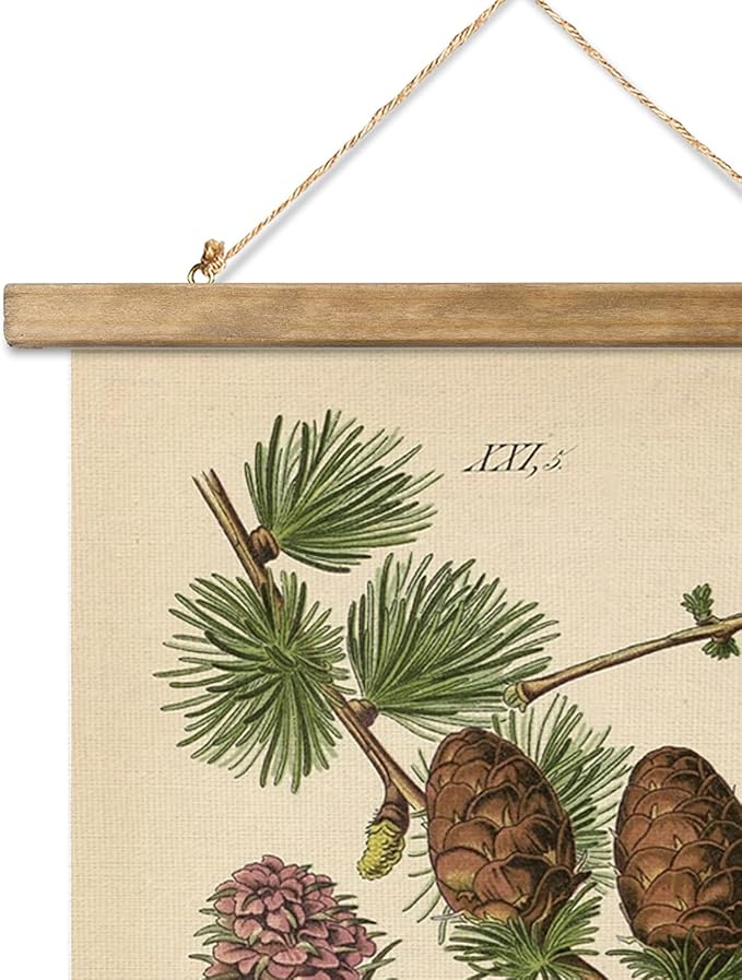 XIAOAIKA Conifer Botanical Wall Art Set - 3-Piece Vintage Pine and Evergreen Poster Prints with Wooden Hanging Frames, Ideal for Rustic Home and Cabin Decor, 12x16 inches