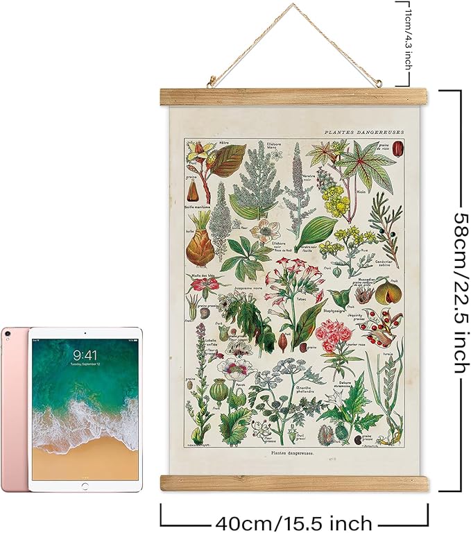 XIAOAIKA Vintage Botany Poster with Wooden Frame, Antique Poisonous Plants Chart - Botanical Educational Art with Dangerous Species - Retro-Style Wall Hanging for Home Classroom Decor 16 x 23 Inches