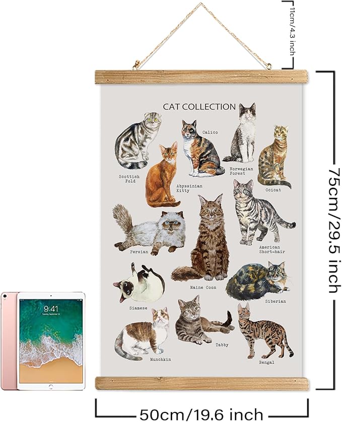 XIAOAIKA Cat Breeds Educational Poster - Illustrated Guide to Popular Feline Varieties with Wooden Scroll Frame - Decorative Wall Art for Cat Lovers and Pet Owners 20 x 30 Inches