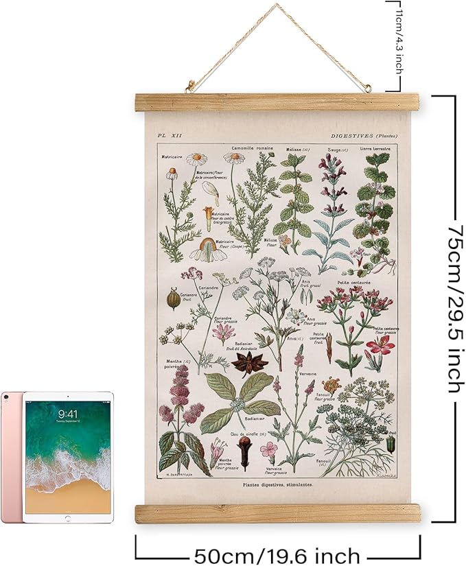 XIAOAIKA Vintage Botanical Herbs Illustration Poster - Retro Medicinal Plant Chart with Wooden Frame - Educational Herbal Reference for Home, Kitchen, or Classroom Decor 20 x 30 Inches