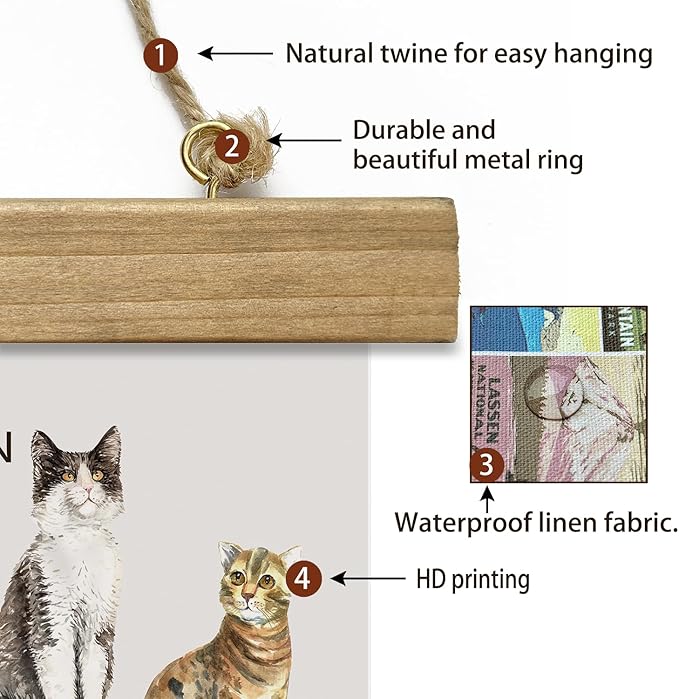 XIAOAIKA Cat Breeds Educational Poster - Illustrated Guide to Popular Feline Varieties with Wooden Scroll Frame - Decorative Wall Art for Cat Lovers and Pet Owners 12 x 16 Inches