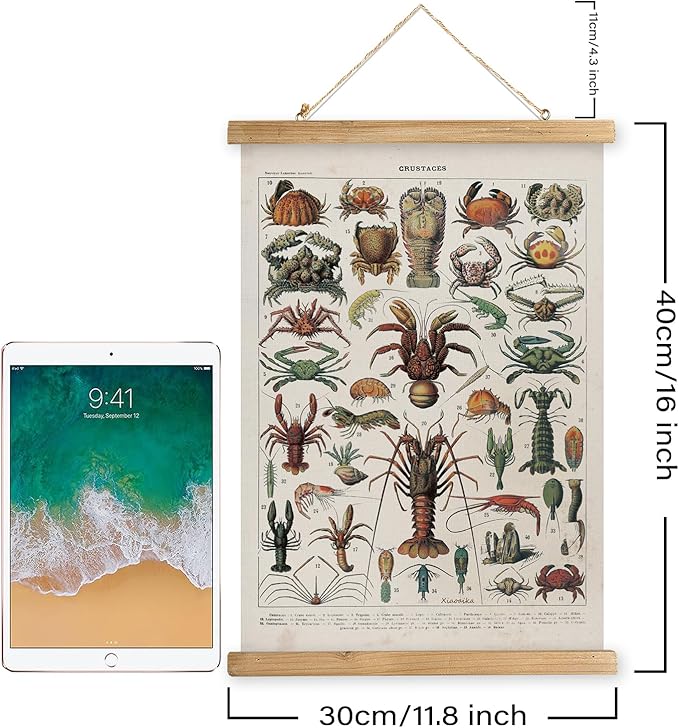 XIAOAIKA Antique Crustacean Species Poster - Vintage Detailed Seafood Illustration Chart with Wooden Frame - Educational Wall Art for Seafood Enthusiasts, Chefs, and Classrooms 12 x 16 Inches