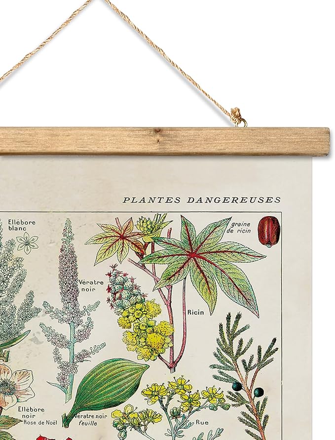 XIAOAIKA Vintage Botany Poster with Wooden Frame, Antique Poisonous Plants Chart - Botanical Educational Art with Dangerous Species - Retro-Style Wall Hanging for Home Classroom Decor 16 x 23 Inches
