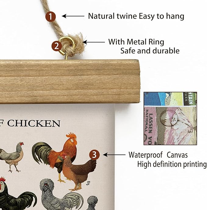 XIAOAIKA Vintage-Inspired Chicken Breeds Art Print - Educational Wall Hanging Poster with Wooden Frame - Rustic Farmhouse Decor, Perfect for Kitchen or Classroom 16 x 23 Inches