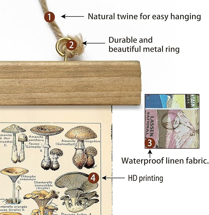 XIAOAIKA Vintage Mushroom Poster with Wooden Frame - Classic Botanical Print with Variety of Fungi Species - Retro Style Wall Art Decor for Kitchen, Living Room, Classroom 20 x 30 Inches