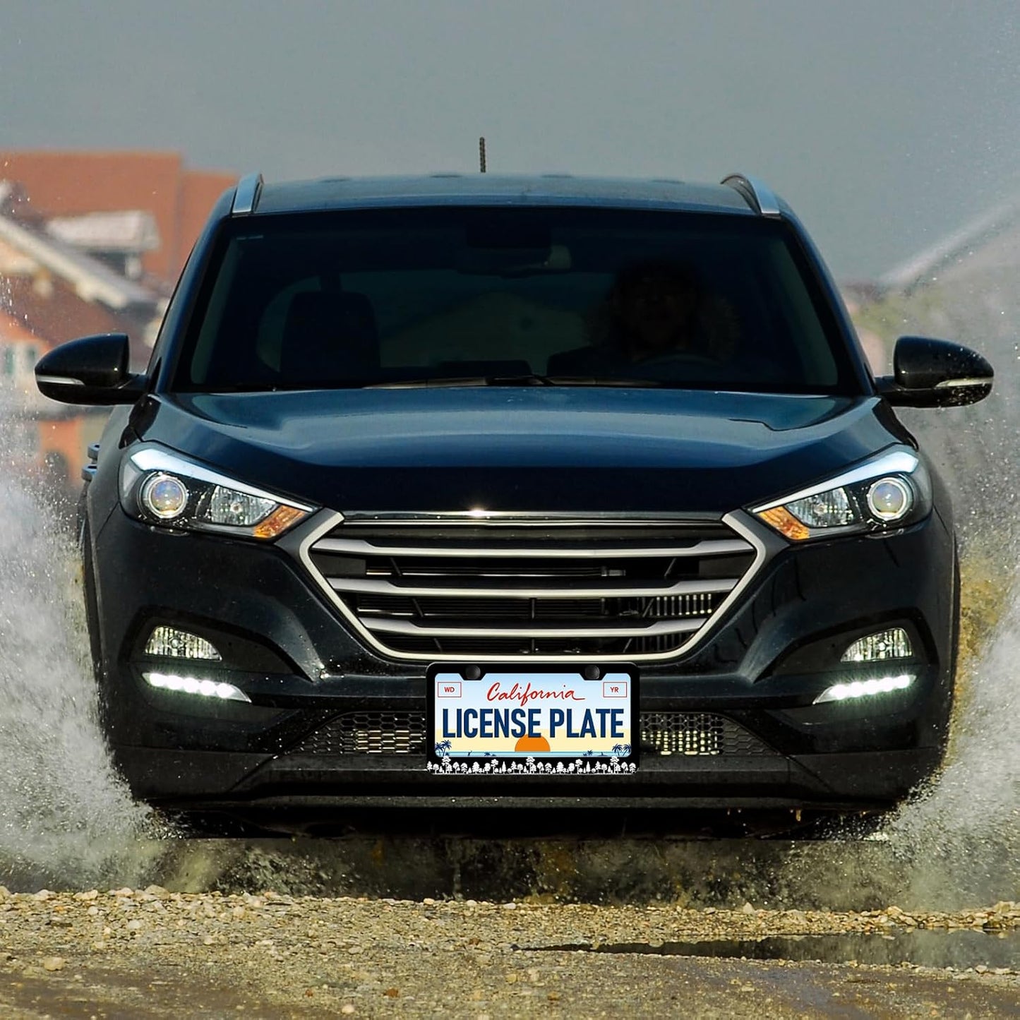 Forest License Plate Frames - 2 Pack Forest Tree Black Stainless Steel License Plate Holder,Rust-Proof Waterproof Car Decorative Tag Frame with Screws Fasteners Caps