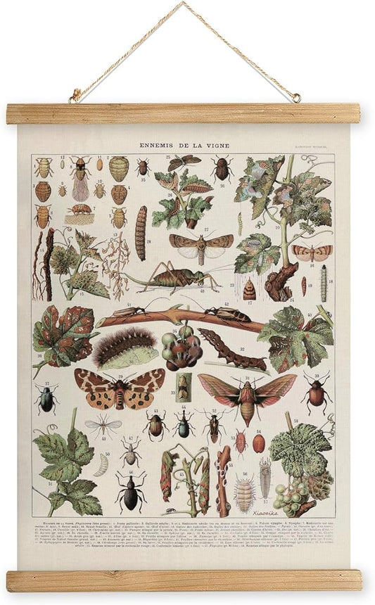 XIAOAIKA Vintage Vineyard Pests Identification Chart - Rustic Wall Hanging Educational Poster with Wooden Scroll Frame - Ideal for Wine Enthusiasts and Gardeners 20 x 30 Inches
