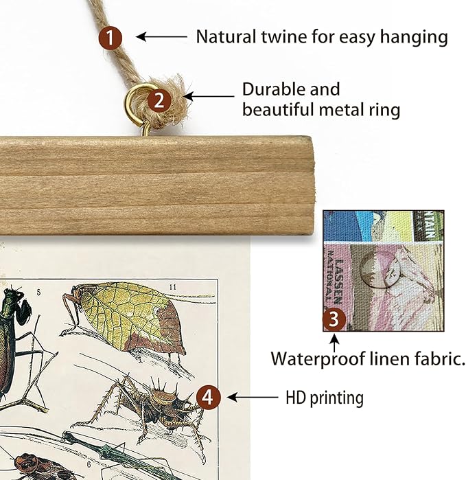 XIAOAIKA Vintage Entomology Poster - Illustrated Insect Species Chart with Wooden Frame - Educational Bug Identification Wall Art for Science Classrooms Home Office 16 x 23 Inches