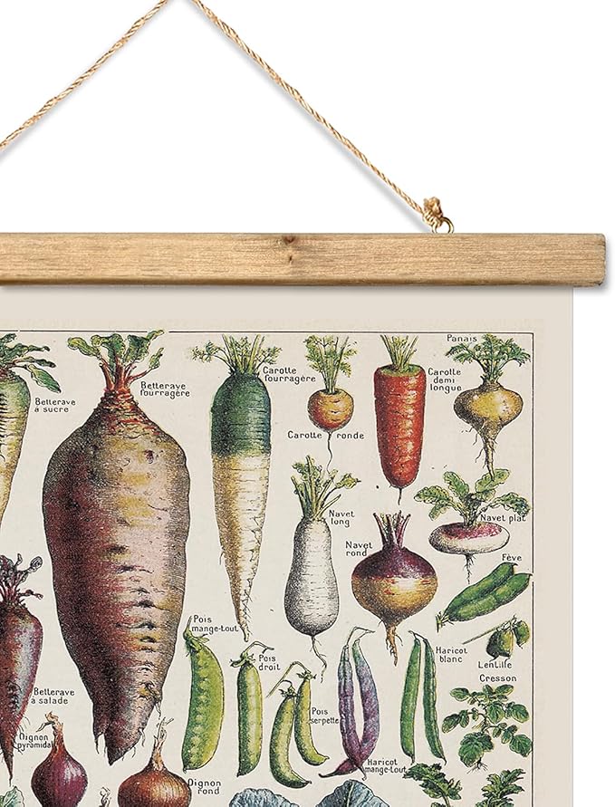 XIAOAIKA Vintage Vegetable Varieties Poster - Illustrated Garden Produce Chart with Wooden Frame - Educational Kitchen Wall Decor Art for Home Chefs and Gardeners 16 x 23 inches
