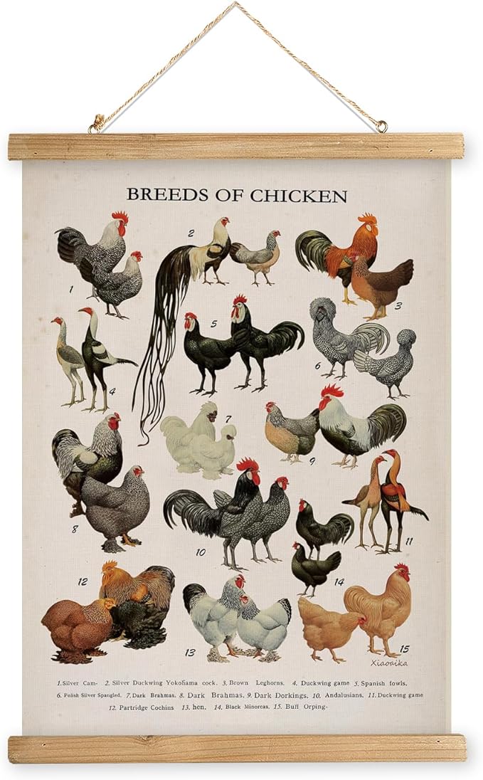 XIAOAIKA Vintage-Inspired Chicken Breeds Art Print - Educational Wall Hanging Poster with Wooden Frame - Rustic Farmhouse Decor, Perfect for Kitchen or Classroom 16 x 23 Inches