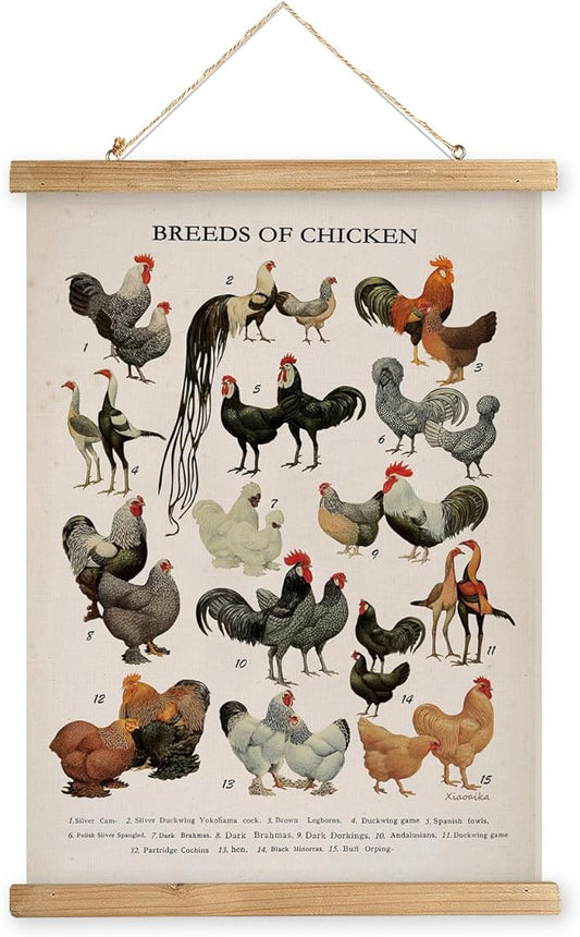 XIAOAIKA Vintage-Inspired Chicken Breeds Art Print - Educational Wall Hanging Poster with Wooden Frame - Rustic Farmhouse Decor, Perfect for Kitchen or Classroom 16 x 23 Inches