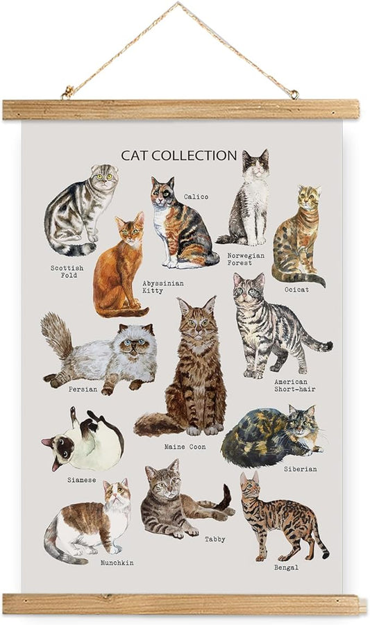XIAOAIKA Cat Breeds Educational Poster - Illustrated Guide to Popular Feline Varieties with Wooden Scroll Frame - Decorative Wall Art for Cat Lovers and Pet Owners 16 x 23 Inches