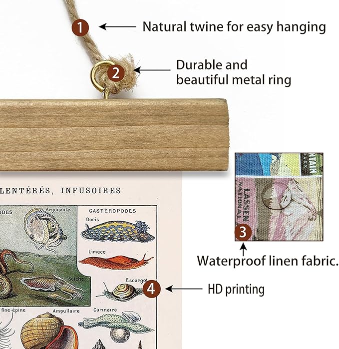XIAOAIKA Vintage Zoology Poster - Illustrated Invertebrates and Marine Life Chart with Wooden Frame - Educational Biology Wall Art for Science Classrooms and Nature Enthusiasts 16 x 23 inches