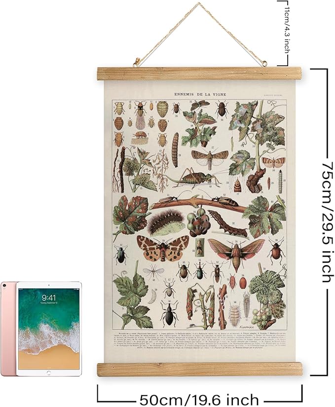 XIAOAIKA Vintage Vineyard Pests Identification Chart - Rustic Wall Hanging Educational Poster with Wooden Scroll Frame - Ideal for Wine Enthusiasts and Gardeners 20 x 30 Inches