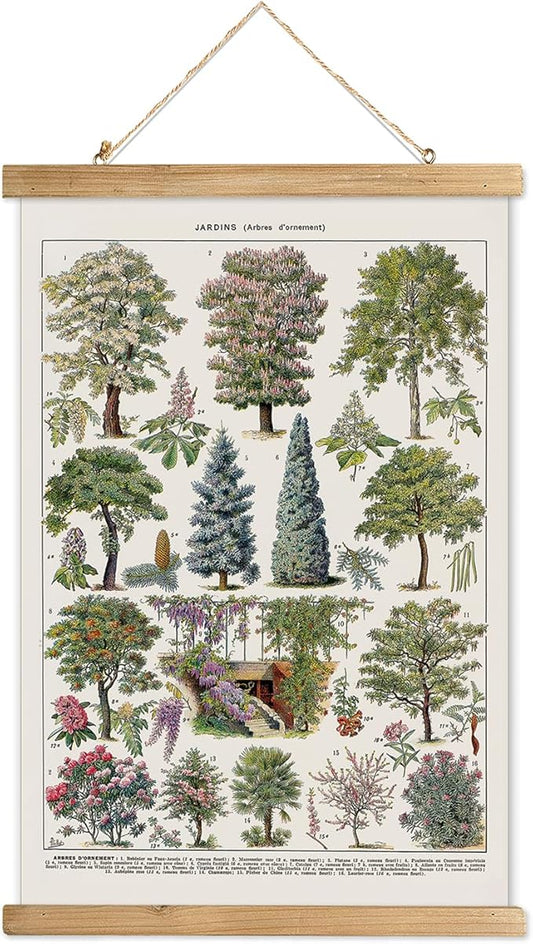 XIAOAIKA Vintage Tree and Shrub Poster - Botanical Educational Retro Wall Art with Wooden Frame for Gardening Enthusiasts and Landscape Designers 12 x 16 Inches