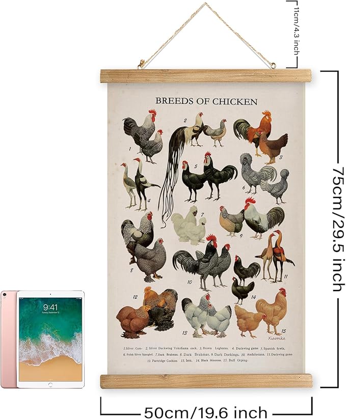 XIAOAIKA Vintage-Inspired Chicken Breeds Art Print - Educational Wall Hanging Poster with Wooden Frame - Rustic Farmhouse Decor, Perfect for Kitchen or Classroom 20 x 30 Inches