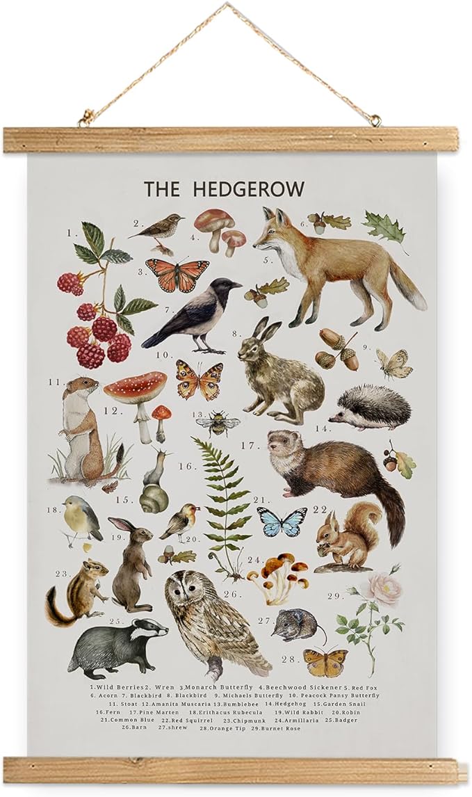 XIAOAIKA British Hedgerow Wildlife Educational Poster - Illustrated Nature Chart with Wooden Frame - Countryside Animals and Plants Wall Art for Home, School, or Nature Reserve Decor 20 x 30 Inches
