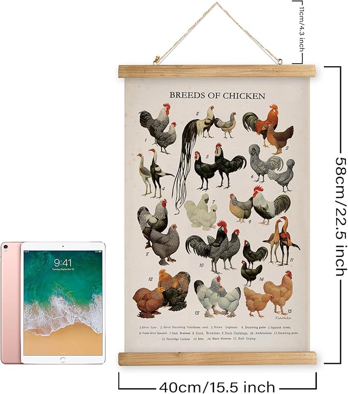 XIAOAIKA Vintage-Inspired Chicken Breeds Art Print - Educational Wall Hanging Poster with Wooden Frame - Rustic Farmhouse Decor, Perfect for Kitchen or Classroom 16 x 23 Inches