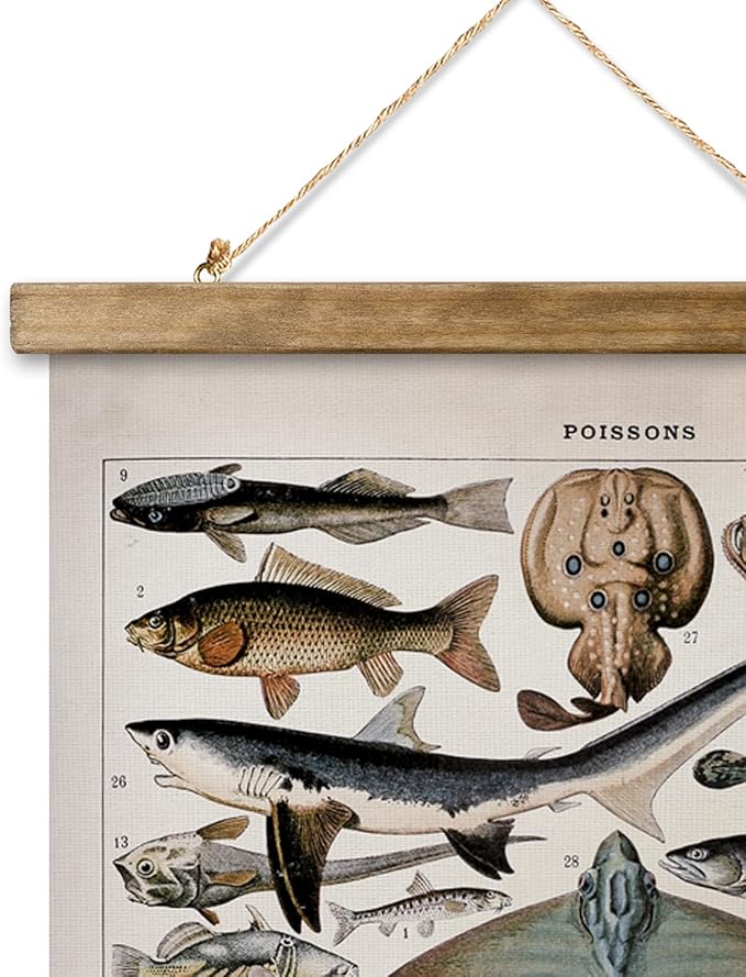 XIAOAIKA Vintage Fish Species Poster - Educational Oceanic Life Chart with Wooden Scroll Frame - Classic Nautical Wall Hanging Decor for Home, Office, or Classroom 16 x 23 Inches