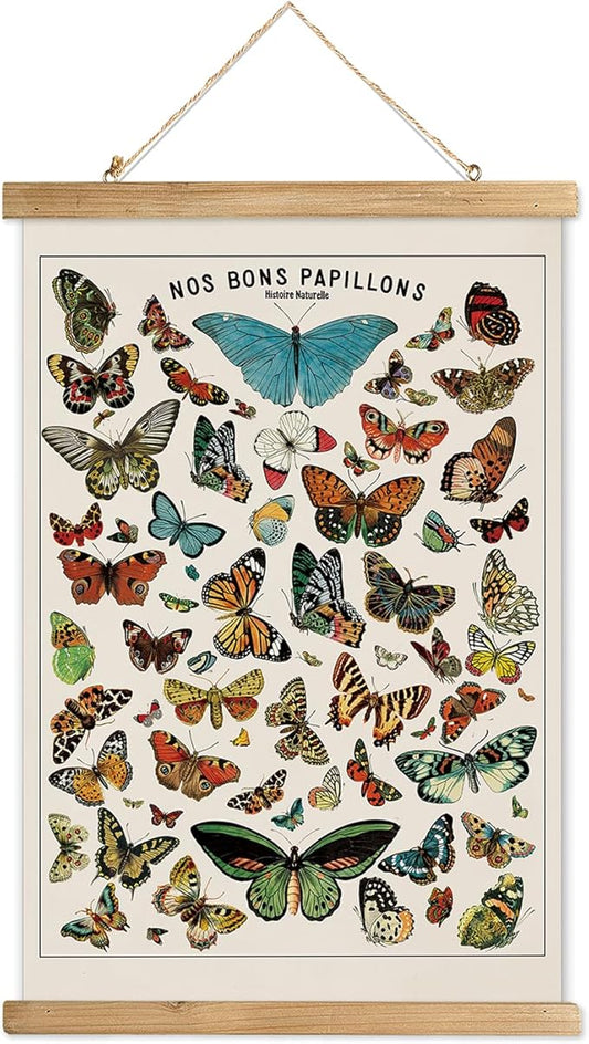XIAOAIKA Vintage Butterfly Species Poster - Illustrated Educational Chart with Wooden Frame - Entomology Wall Art for Nature Lovers, Classrooms, and Home Decor 12 x 16 Inches