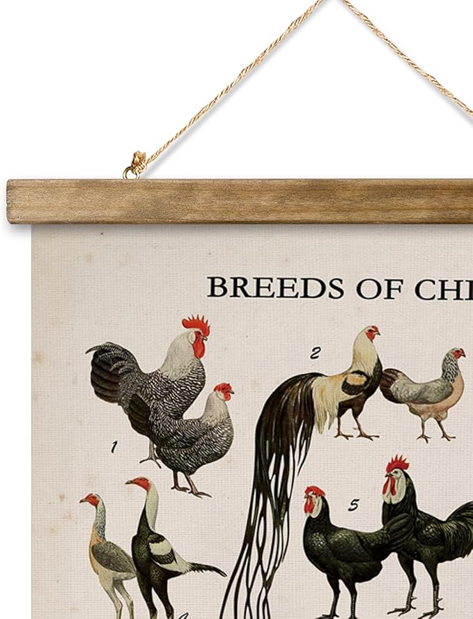 XIAOAIKA Vintage-Inspired Chicken Breeds Art Print - Educational Wall Hanging Poster with Wooden Frame - Rustic Farmhouse Decor, Perfect for Kitchen or Classroom 16 x 23 Inches