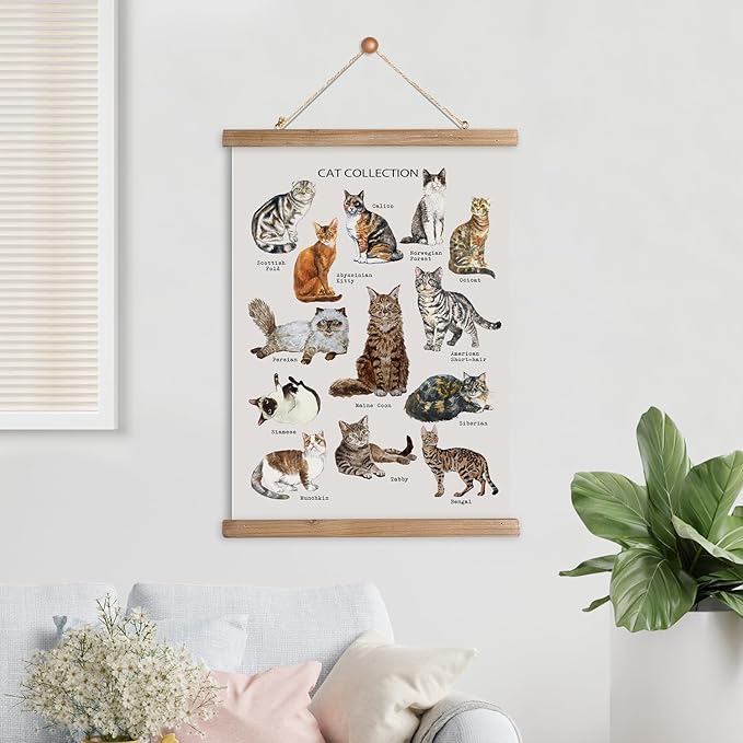 XIAOAIKA Cat Breeds Educational Poster - Illustrated Guide to Popular Feline Varieties with Wooden Scroll Frame - Decorative Wall Art for Cat Lovers and Pet Owners 12 x 16 Inches