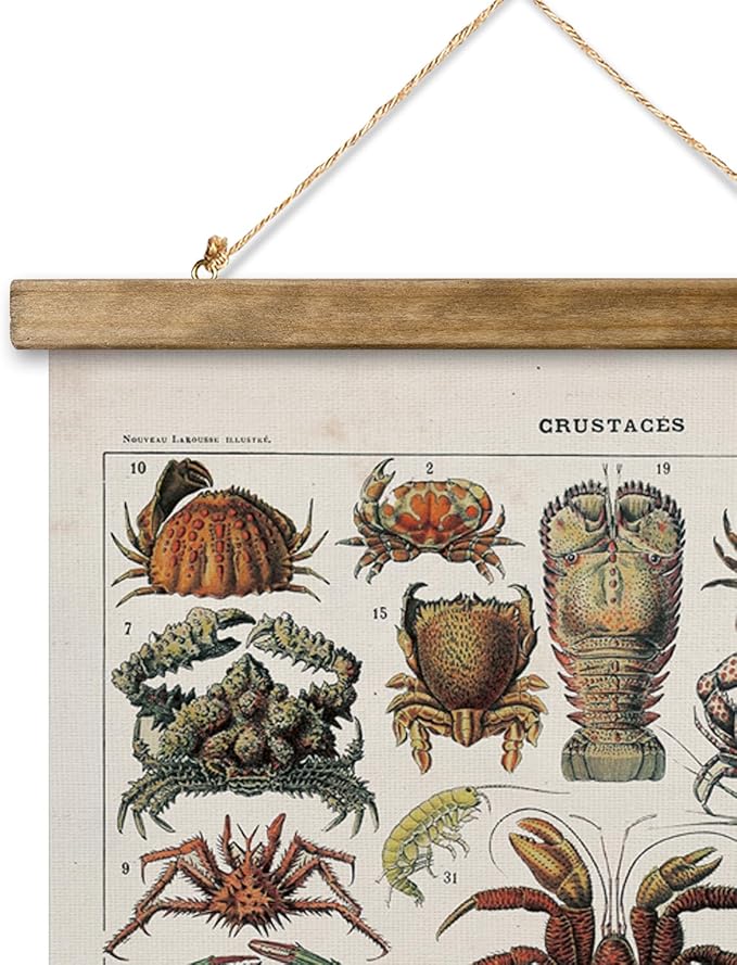 XIAOAIKA Antique Crustacean Species Poster - Vintage Detailed Seafood Illustration Chart with Wooden Frame - Educational Wall Art for Seafood Enthusiasts, Chefs, and Classrooms 12 x 16 Inches