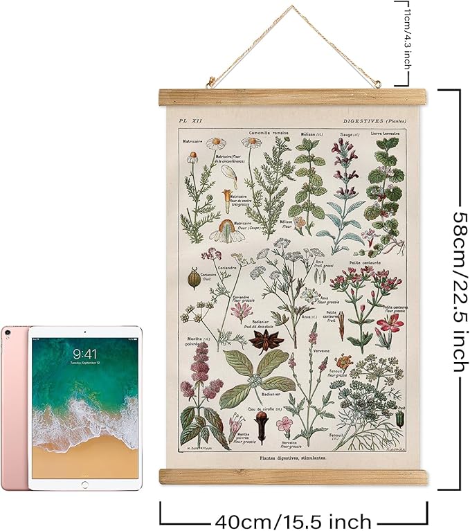 Vintage Spring Flower Poster Print, Botanical Educational Illustration, Rustic Wooden Hanger Frame, Linen Canvas Wall Art Decor, Farmhouse Cottagecore Style for Living Room Bedroom Office (16" x 23")