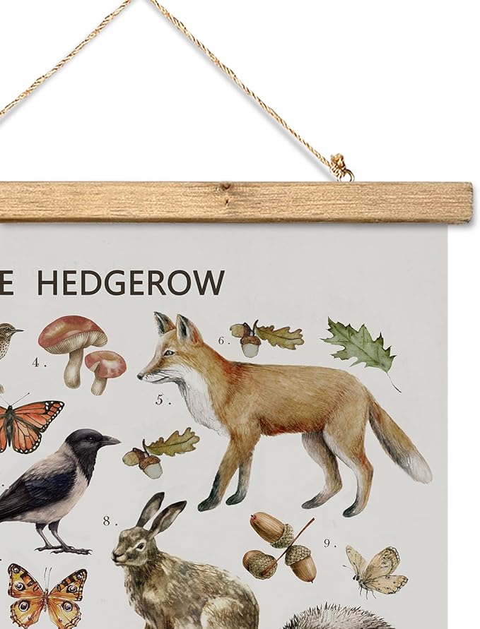 XIAOAIKA British Hedgerow Wildlife Educational Poster - Illustrated Nature Chart with Wooden Frame - Countryside Animals and Plants Wall Art for Home, School, or Nature Reserve Decor 20 x 30 Inches
